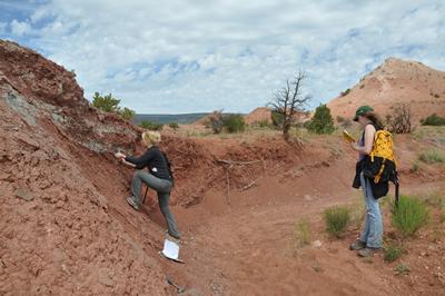 Dr Jessica Whiteside on dig